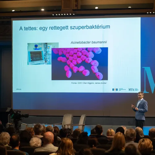 Már száz éve tudjuk, hogyan lehetne harcolni a szuperbaktériumokkal, csak megfeledkezett róla a tudomány