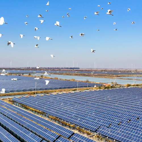 Cop30-elnök: A gazdagabb országok már nem küzdenek úgy a közös klímacélokért