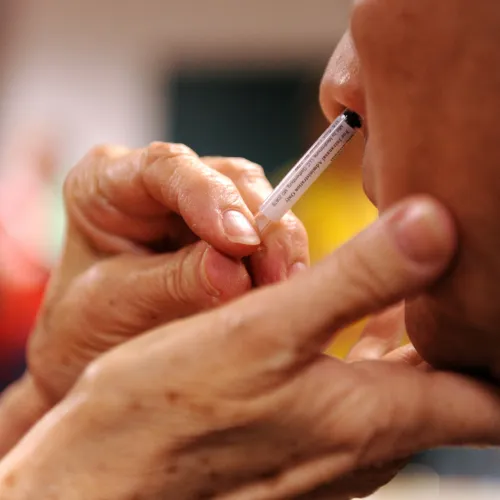 Egy új, orron át beadható védőoltás nemcsak megvédhet a szamárköhögéstől, de a fertőzést is megakadályozhatja