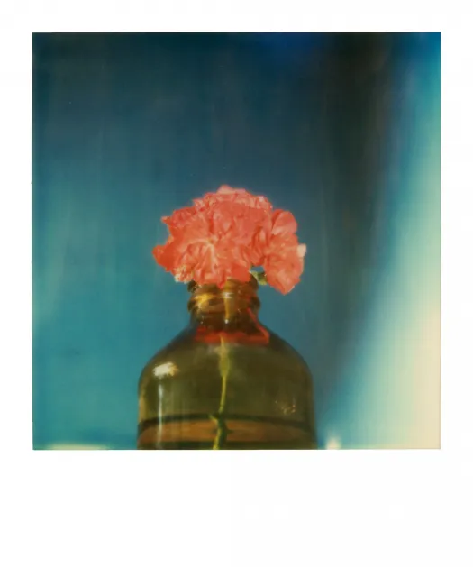 La Palma, 1987. szeptember-október // Little bird, 1980-as évek – Forrás: Robby Müller Archive / Annet Gelink Gallery, Amsterdam