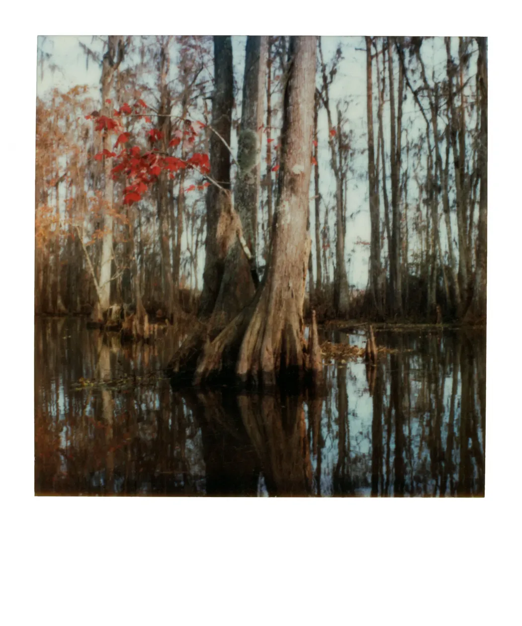 New Orleans, 1985 – Forrás: Robby Müller Archive / Annet Gelink Gallery, Amsterdam