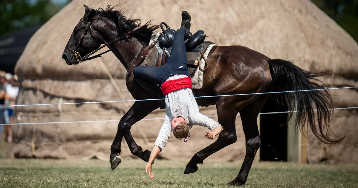 Lóra magyar! Hungarikum lett a magyar nyereg