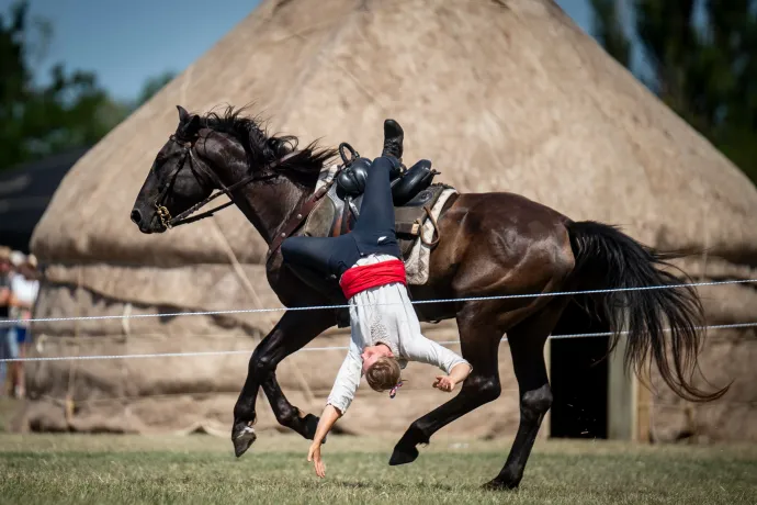 Lóra magyar! Hungarikum lett a magyar nyereg