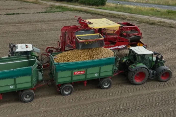 Túl sok a krumpli Németországban