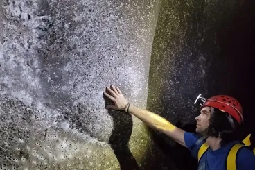 Erdélyi szakember azonosította a pókokat, amelyek a világ talán legnagyobb hálójában élnek