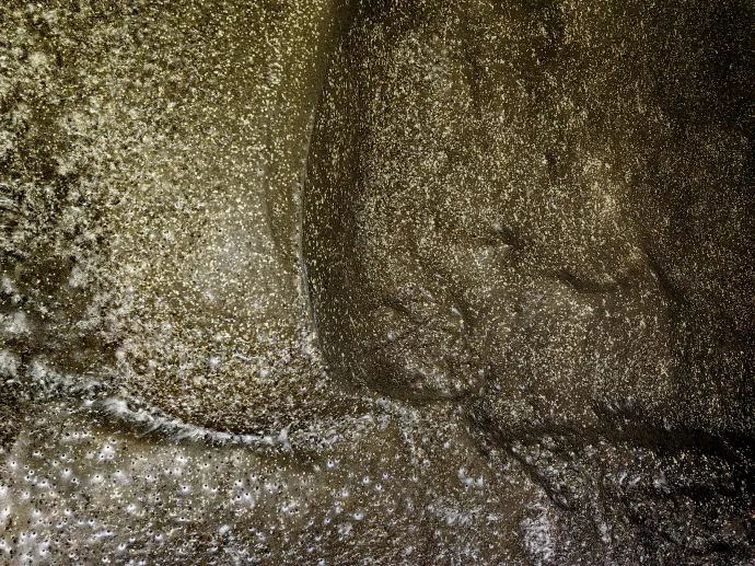 A Tegenaria domestica (házi zugpók) és a kolónia munkájának eredménye a Kén-barlangban – Fotó: Urák István