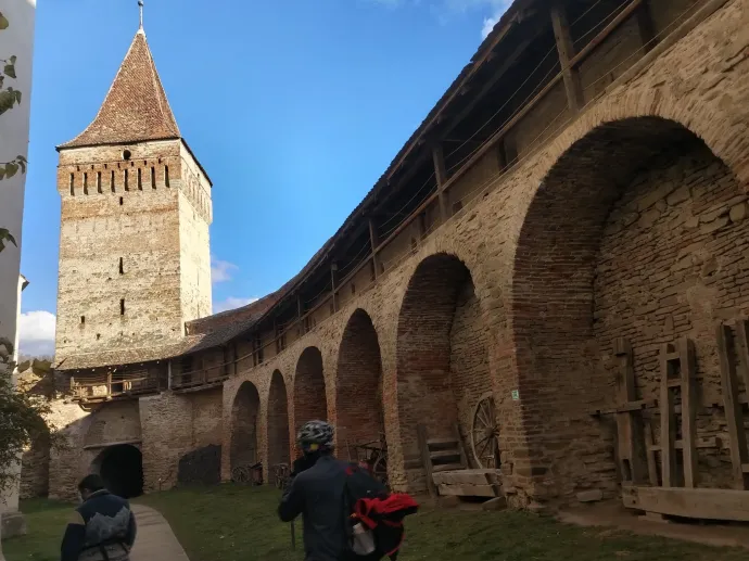 Muzsna – Fotó: Tőkés Hunor / Transtelex