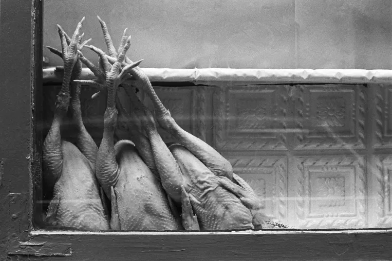 How Hungarian poultry conquered the market of one of the world's richest countries fifty years ago