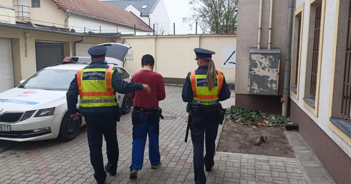 Elfogták Halász Noémi szegedi politikus zaklatóját