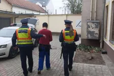 Elfogták Halász Noémi szegedi politikus zaklatóját