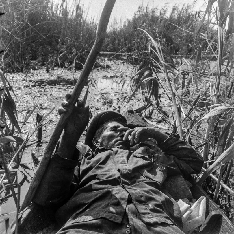 A Duna-deltában – Fotó: Palocsay Zsigmond / Azopan Fotóarchívum