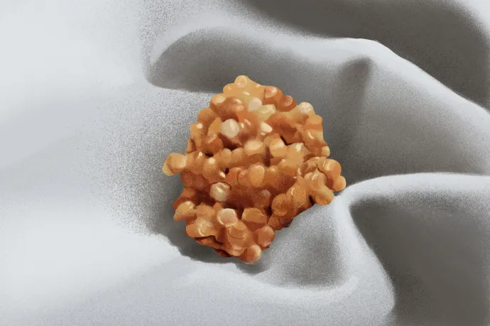 Szaniszló Judit: Egy félreértés anatómiája