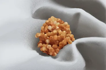 Szaniszló Judit: Egy félreértés anatómiája