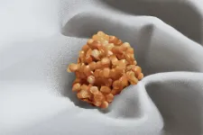 Szaniszló Judit: Egy félreértés anatómiája