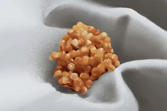 Szaniszló Judit: Egy félreértés anatómiája