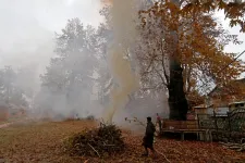 Mérgező, rákkeltő vegyületek szabadulnak fel, ha avart égetünk