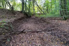 Olyan, mintha az emberi vérellátásból eltűnnének a hajszálerek