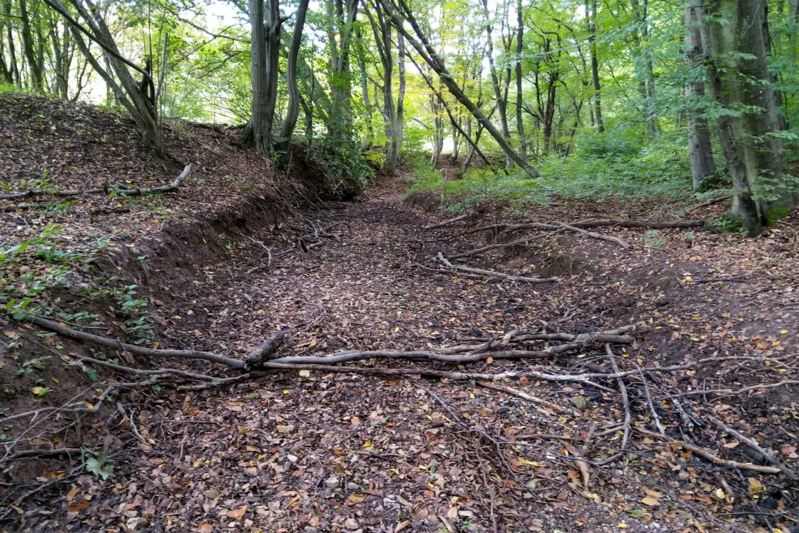 Olyan, mintha az emberi vérellátásból eltűnnének a hajszálerek