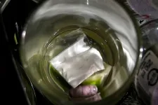 Ha kokaindílerektől indulsz, zenészeknél és celebeknél kötsz ki