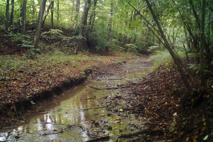 A Sormás-patak vízzel telt és egy későbbi képen a kiszáradt patakmedre a Mecsekben – Fotó: Bozóki Tamás / Ökológiai Kutatóközpont