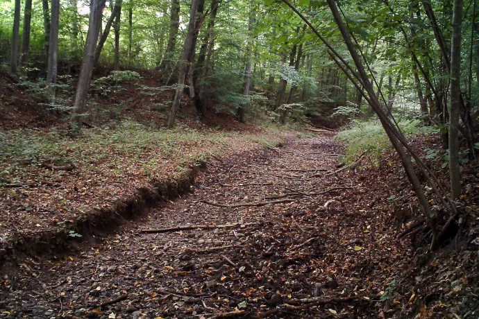 A Sormás-patak vízzel telt és egy későbbi képen a kiszáradt patakmedre a Mecsekben – Fotó: Bozóki Tamás / Ökológiai Kutatóközpont