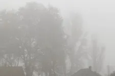 Ködös, de enyhe időt hoz a szombat