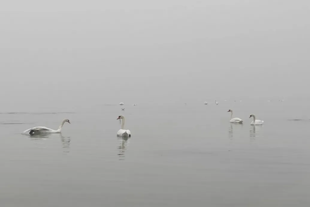 Két horgász eltévedt a balatoni tejködben, vízimentőknek kellett kimentenie őket