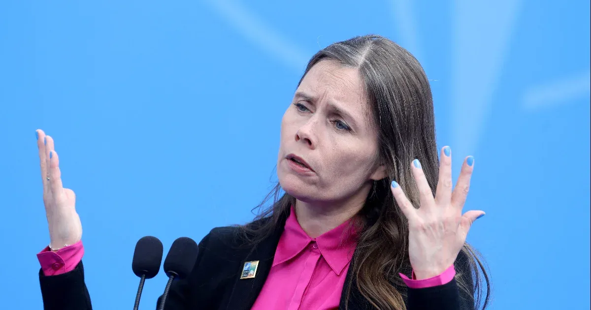 Egy generáció alatt kisöpörheti az izlandi nyelvet az MI-vel az angol, figyelmeztet az ország volt kormányfője