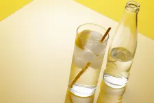 EU-bíróság: Az alkoholmentes gin nem gin
