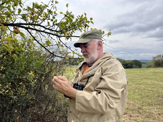 Fotó: Gáspárik Attila