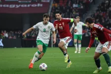 Vb-selejtező: Magyarország–Írország 2-3
