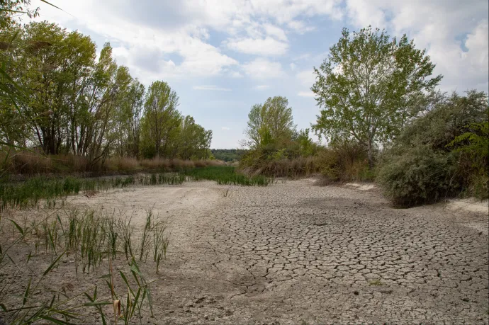 Nagyon fontos, hogy essen az eső, kritikus lehet a szárazság