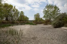 Nagyon fontos, hogy essen az eső, kritikus lehet a szárazság