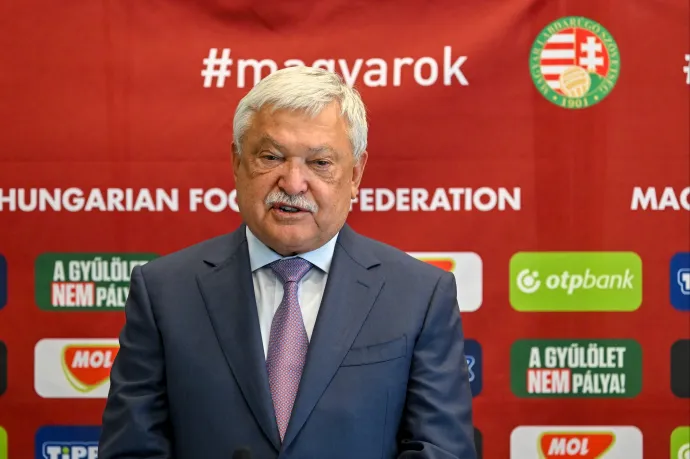 Csányi Sándor könnyek közt hagyta abba az interjút az írek elleni vereség után