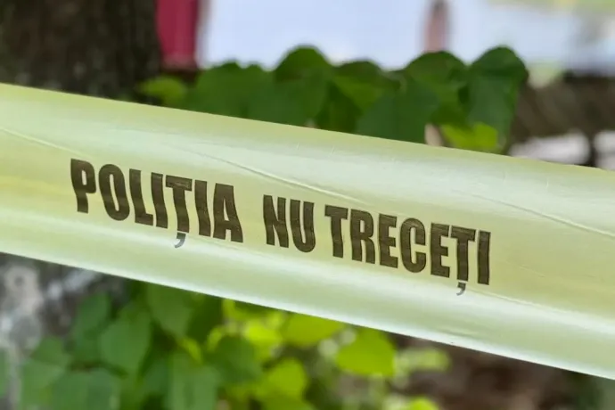 Két nőgyilkossági ügyben is súlyos hatósági mulasztást tártak fel