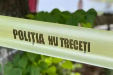 Két nőgyilkossági ügyben is súlyos hatósági mulasztást tártak fel