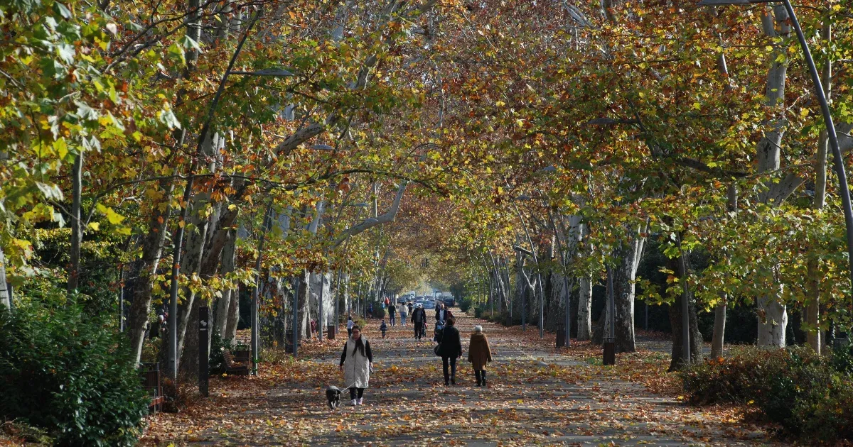 Mennyi víz maradt Szeged alatt?