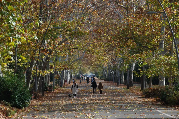 Mennyi víz maradt Szeged alatt?