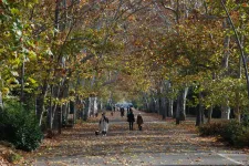 Mennyi víz maradt Szeged alatt?