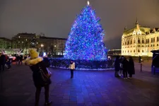 Ibrány legnagyobb fenyőfája lesz az ország karácsonyfája