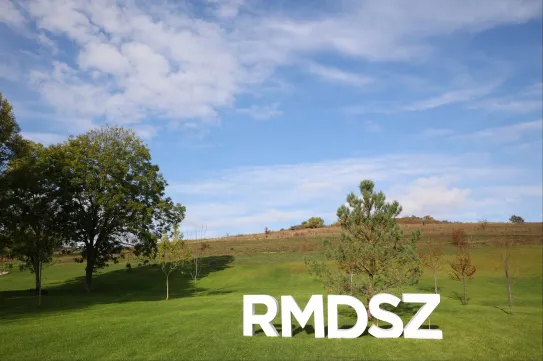 A romániai magyar politikai képviselet kilátásai