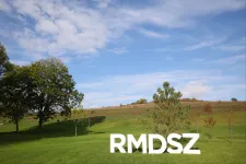 A romániai magyar politikai képviselet kilátásai