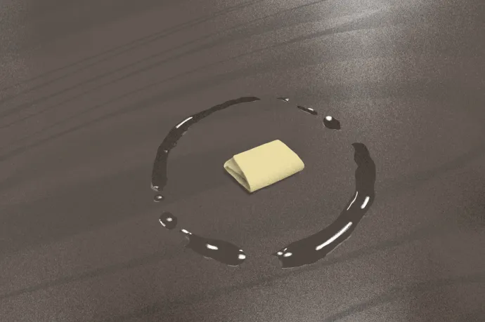 Baráth Katalin: Cselédrazzia