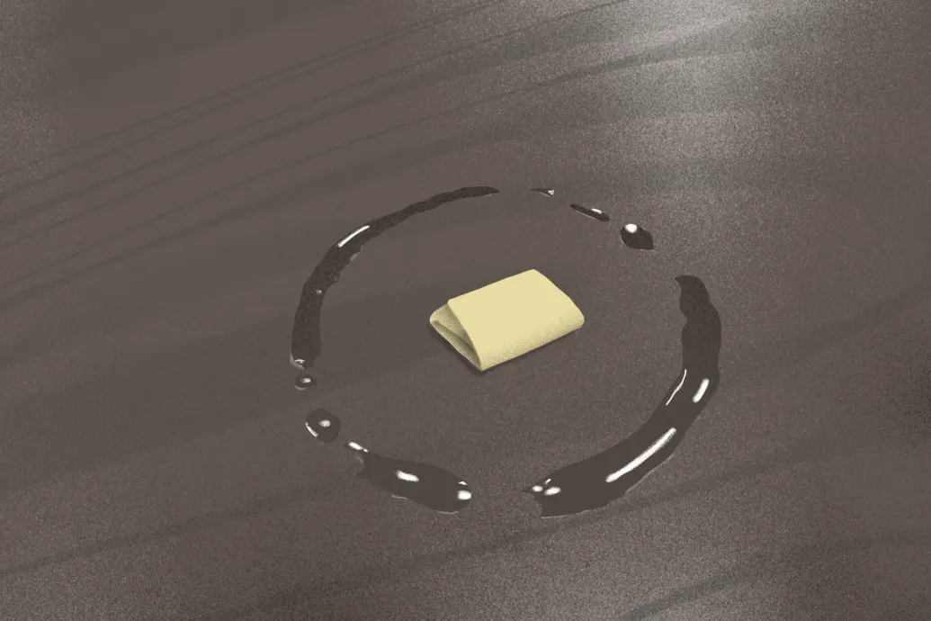 Baráth Katalin: Cselédrazzia