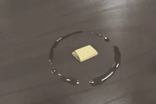 Baráth Katalin: Cselédrazzia