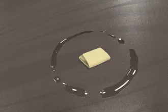 Baráth Katalin: Cselédrazzia