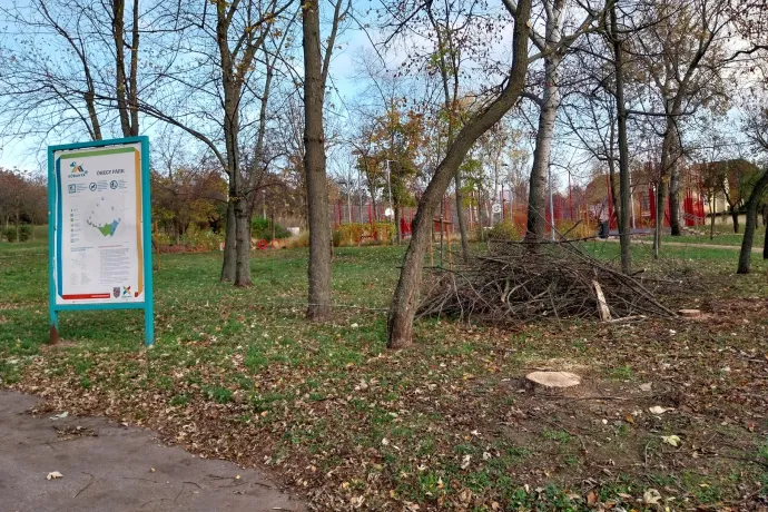 Húsz éve egy férfit nyelt el itt a föld, most a fákat