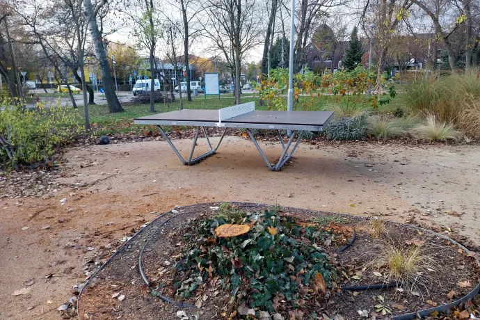 Plakáttal megjelölt és kivágott fák a parkban – Fotó: Olvasónk / Telex; Thüringer Barbara / Telex