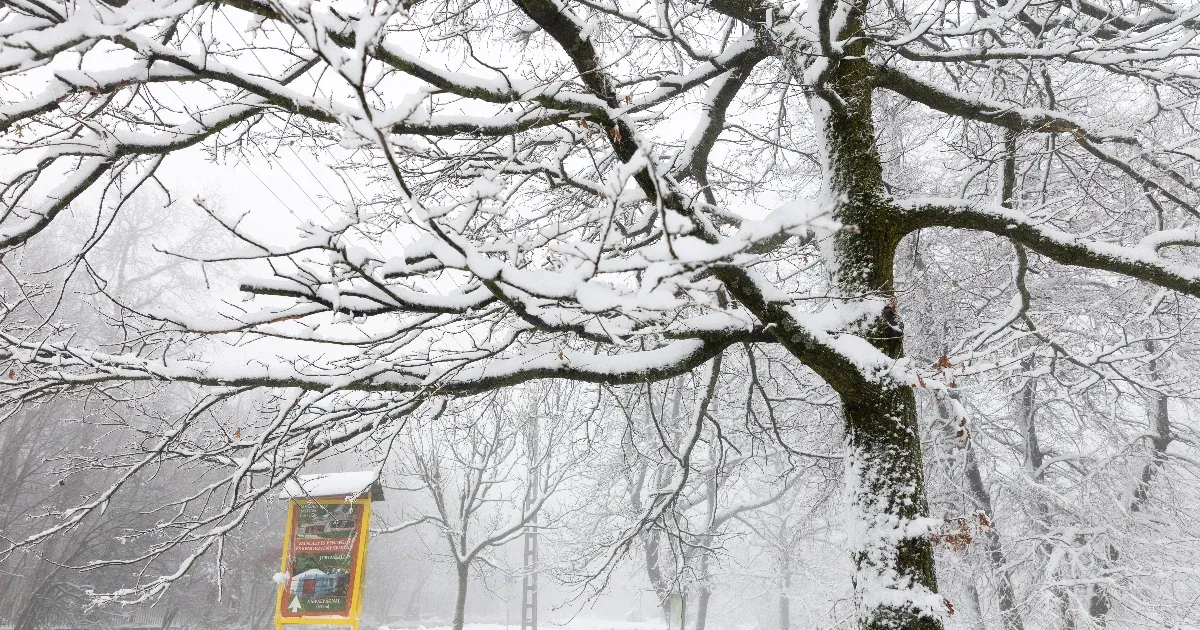 Szombatra már 10-15 centi hó is hullhat, de az ország nagy része csak a szokásos csúf őszi esőt kapja