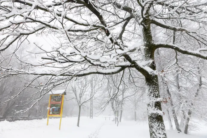 Szombatra már 10-15 centi hó is hullhat, de az ország nagy része csak a szokásos csúf őszi esőt kapja
